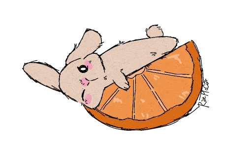 Bunny and orange by crunkonredbull