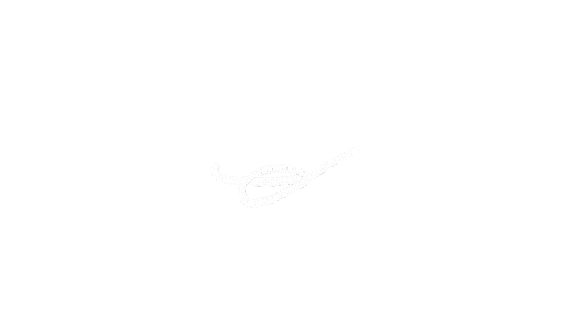 Untitled by zortcan094