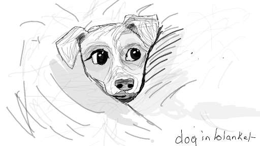 Dog in a blanket by hollypip1234