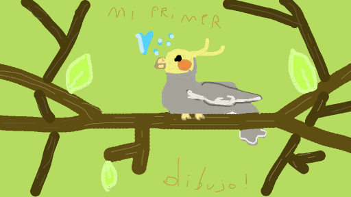 cacatua ninfa. by mabel7196710