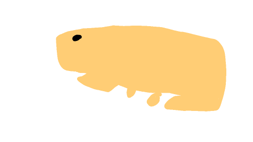 Coolibara by str0ng_cat100